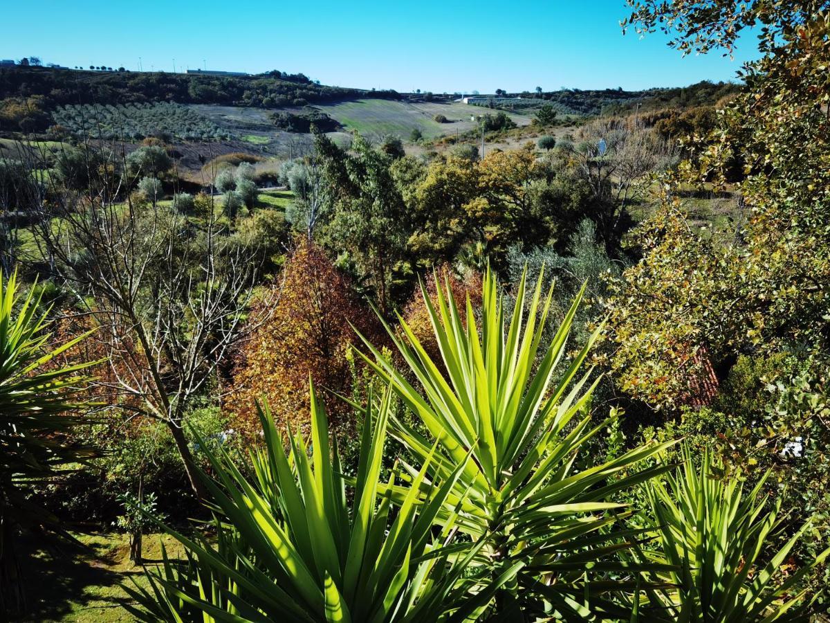 Quinta Do Vale Encantado "The Valley" - Santarem - Portugal Calhariz Exterior photo